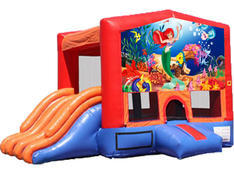 4-in-1 Combo with Double Slides - Little Mermaid (Dry) 4-in-1 Combo with Double Slides - Little Mermaid (Dry)