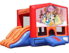4-in-1 Combo with Double Slides - Princesses (Dry) 4-in-1 Combo with Double Slides - Princesses (Dry)