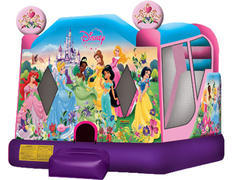 Disney Princess Castle Combo (Dry) Disney Princess Castle Combo (Dry)